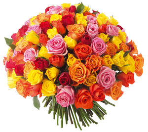 Roses