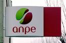 Anpe_3